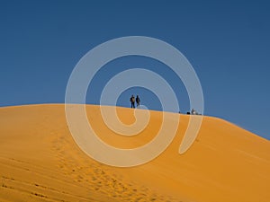 Golden sand dunes in the Algerian desert, the city of Bechar Taghit