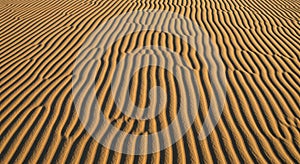 Golden sand dunes with parallel, wavy
