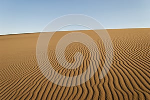 Golden Sand Dunes - ripple marks