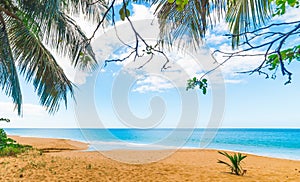 Golden sand in La Perle beach in Guadeloupe