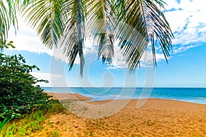 Golden sand in La Perle beach in Guadeloupe