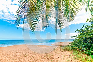 Golden sand in La Perle beach in Guadeloupe