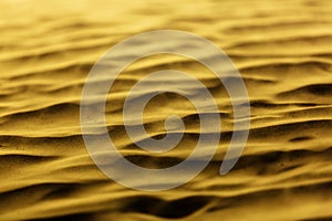 Golden sand ripples and patterns