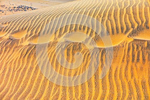 Golden sand rolling hills