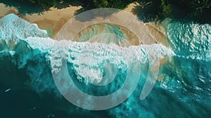 Golden Sands and Majestic Waves: Aerial View of Tropical Paradise Beachscape
