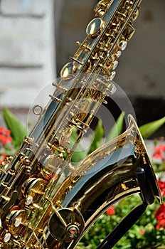 Golden saxophone musical instrument