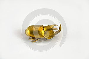 Golden scarab