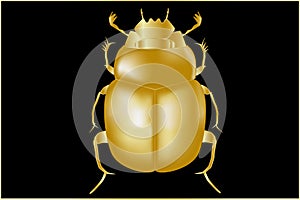 The golden scarab bug is a symbol and personification of the Egyptian solar deity.