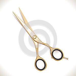 Golden Scissors photo