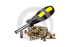 Golden screws and screwdriver