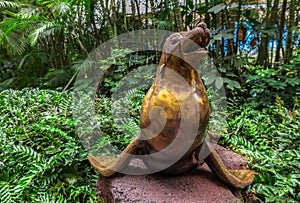 Golden Sea Lion Statue