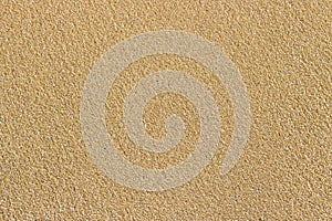Golden sea sand. Sand texture. Sandy beach for background. Top view