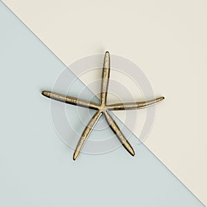 Golden sea star sculpture on pastel blue-ivory background 3d re