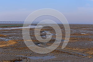 Golden seaweed, the nets in the tidal flat, the world's longest cross-sea bridge - hangzhou bay bridge