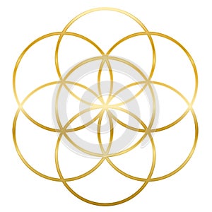 Golden Seed Of Life Flower Of Life