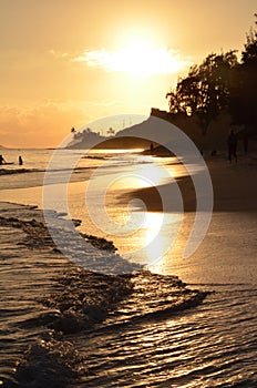 Golden Shore in Hawaii