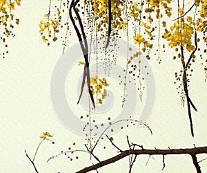 Golden Shower Tree on Handmade Paper