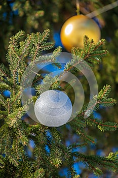 Golden and silver Christmas ball on a green pine tree branch background