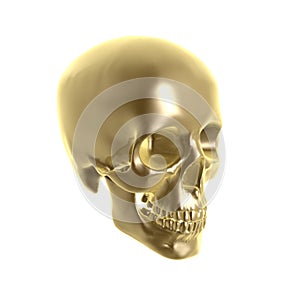 Golden skull