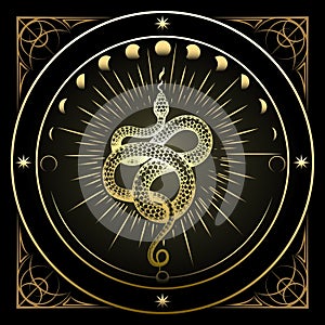 Golden Snake and Phases of Moon Astrological Illustration