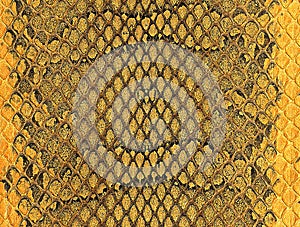 Golden snake skin texture, as background. Natural reptile leather