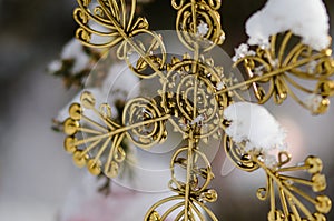Golden Snow Covered Christmas Star Ornament Decorating an Outdoor Tree