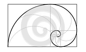 Golden spiral template. Golden ration and the Fibonacci Spiral