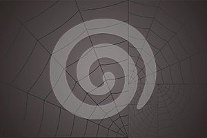 Golden spiral white web on a gray background