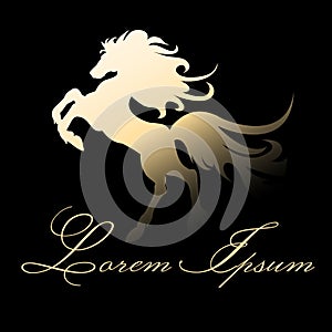 Golden Stallion Emblem on Black