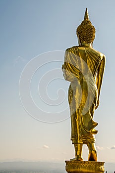 The golden standing buddha