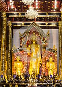 Golden standing Buddha statue inside the viharn of Wat Chedi Luang, Chiang Mai, Thailand