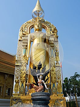 Golden standing Buddha in Thailand