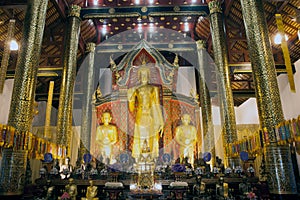 Golden standing Buddha in Viharn of Wat Chedi Luang,Thailand.