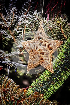 Golden star on the christmas tree