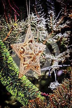 Golden star on the christmas tree