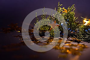 Golden stars on a spruce twig Christmas decorations.