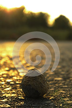 Golden Stone With Golden Sun