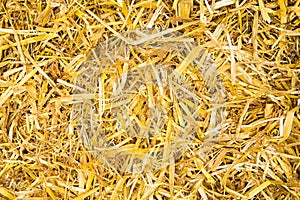Golden straw background