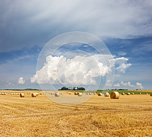 Golden straw bales of hay in the stubble field, agricultural field under a blue sky with clouds