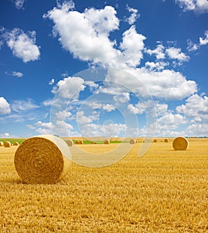 Golden straw bales of hay in the stubble field, agricultural field under a blue sky with clouds