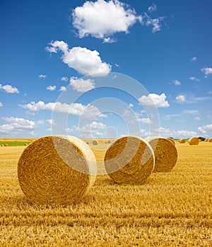 Golden straw bales of hay in the stubble field, agricultural field under a blue sky with clouds