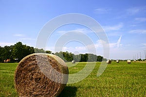 Golden Straw Hay Bales in american countryside