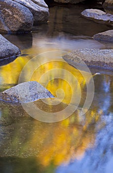 Golden Stream Reflection