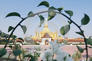 Golden stupa of That Luang framed with bush branch in Vientiane, Laos