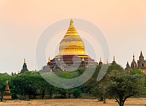 Golden stupa pagoda Bagan