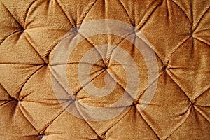 golden stylish fabric with knobs