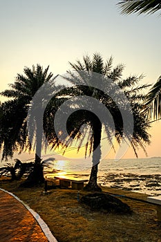 golden sun light sunset and blue sky reflection in sea behind island. silhouette palm tree on beach romantic place in thailand