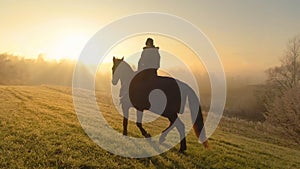 Golden sunbeams peer through fog for horseback rider to explore the countryside.