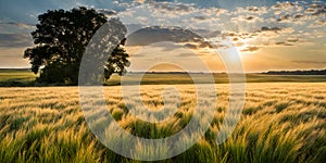 Golden sunlight bathing a serene landscape