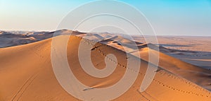 Golden sunlight over ridges and shapes of sand dunes in the majestic Namib Naukluft National Park at Walvisbaai, scenic tourist an